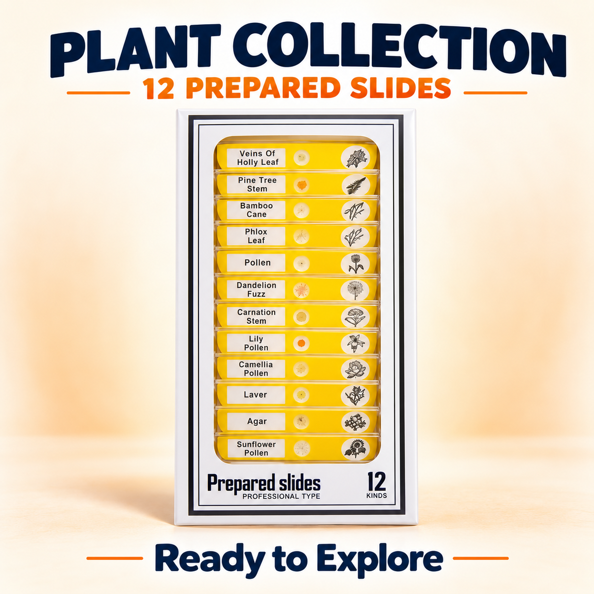 LuminoQuest™ Prepared Microscope Slides — Explore the Collection