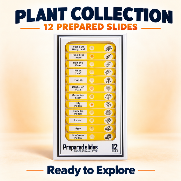 LuminoQuest™ Prepared Microscope Slides — Explore the Collection