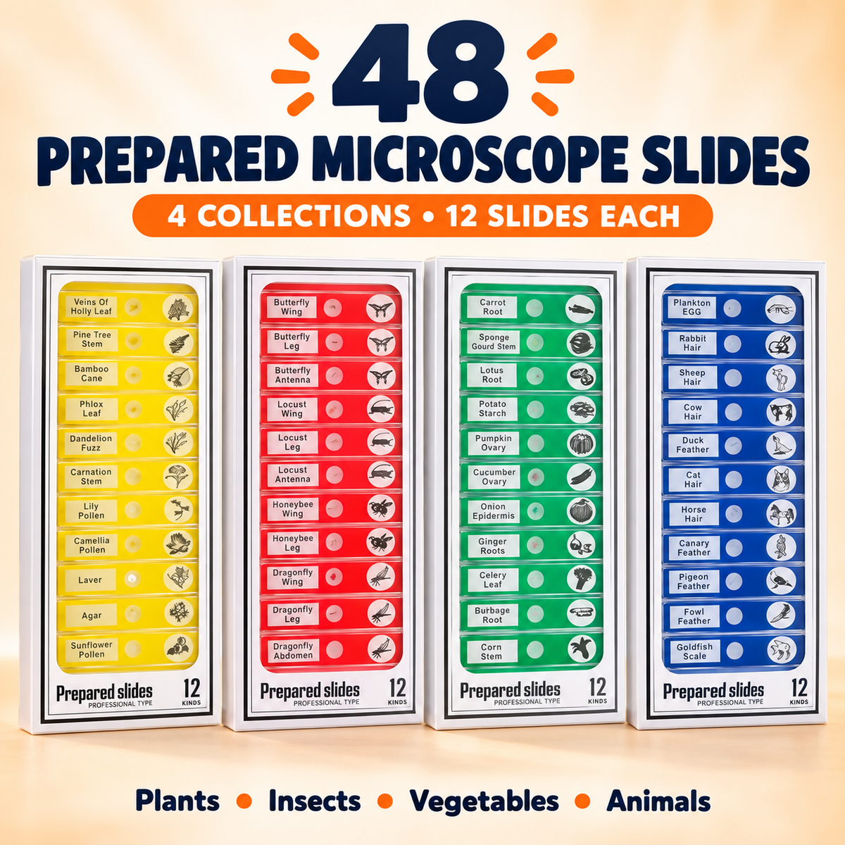 LuminoQuest™ 48 Prepared Microscope Slides — 4-Box Discovery Pack