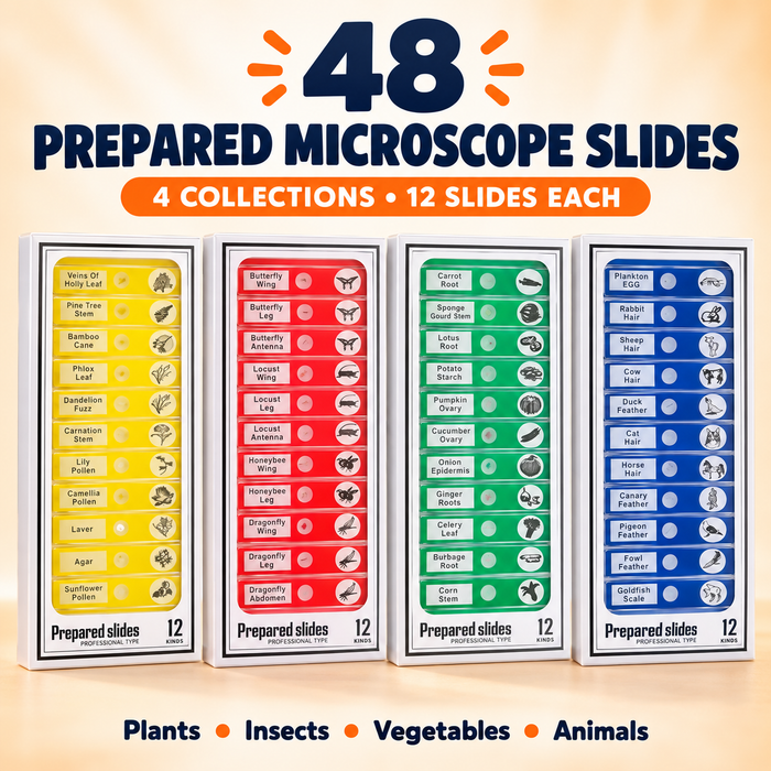 LuminoQuest™ 48 Prepared Microscope Slides — 4-Box Discovery Pack